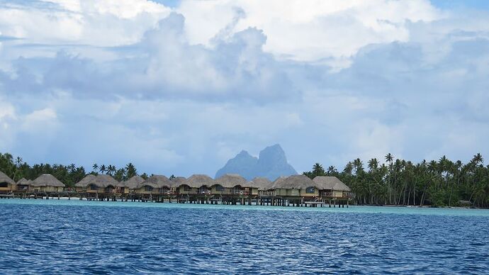 DE RETOUR D'UN MOIS EN POLYNESIE - tontonvin