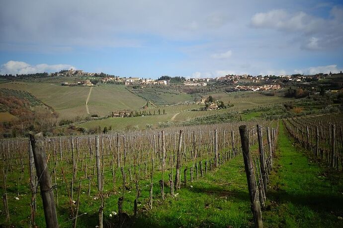 Retour sur 5 jours en Toscane (février 2016) - Osiris130