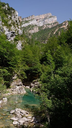 DSCF8134