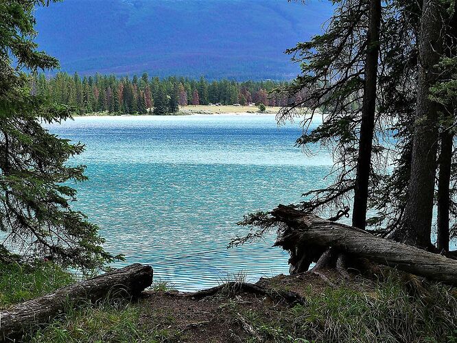 L'Ouest canadien à pleins poumons: épisode 1, les Rocheuses et la chaîne Alberta - fabienne65