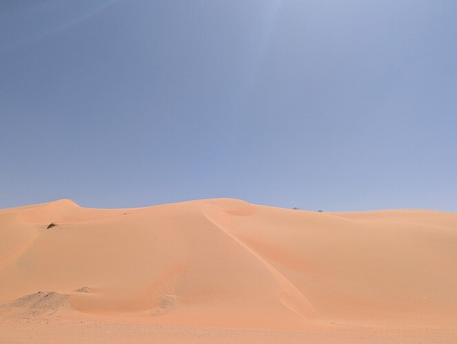 PXL_20250417_070454312_1