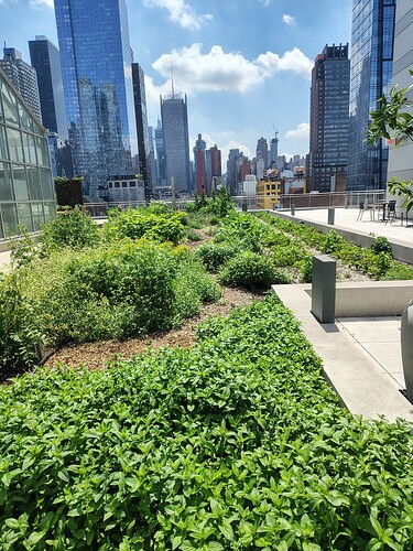 IMG_20250619_113103831_HDR