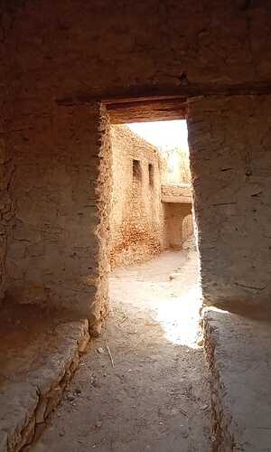 IMG-20250420-WA0019