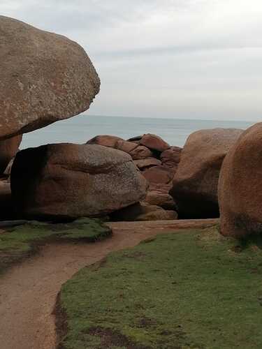 IMG-20250629-WA0022