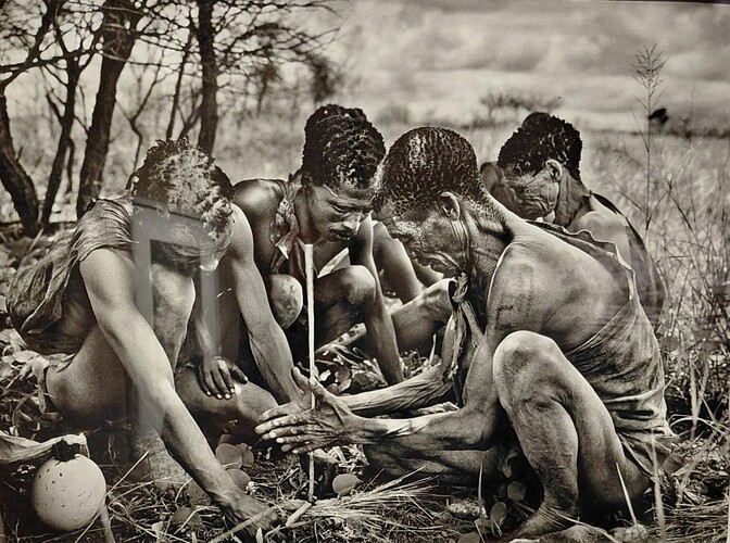 Salgado 10