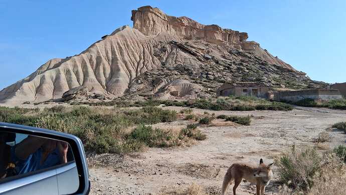 IMG-20250610-WA0030