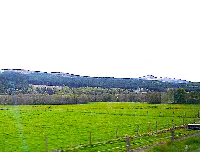 DSCN5200