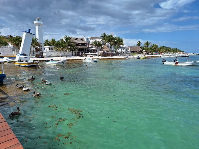 MEXIQUE Puerto Morelos (7)