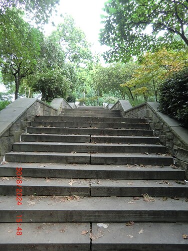 CIMG0238