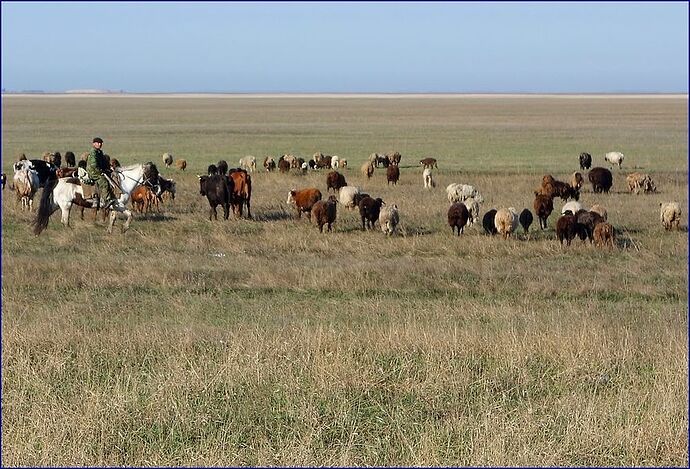 Road trip au Kazakhstan - triptrafic