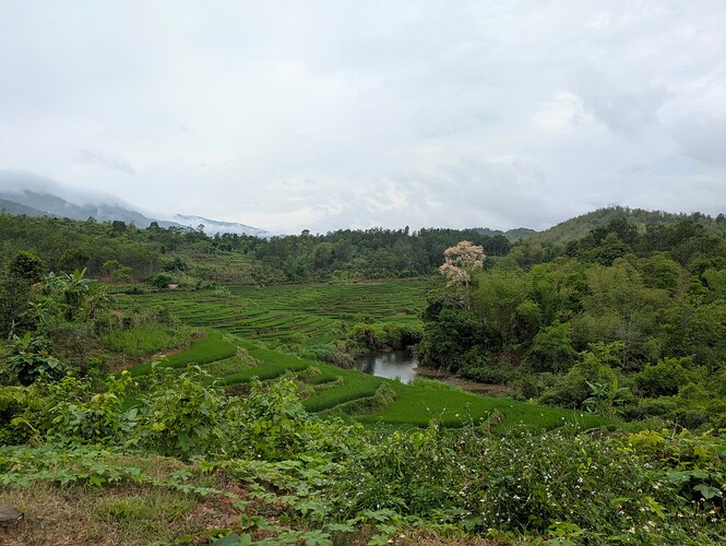 PXL_20250501_053533200