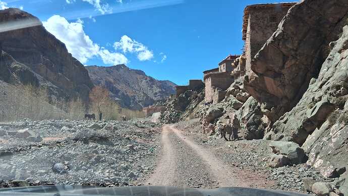 IMG-20250428-WA0008