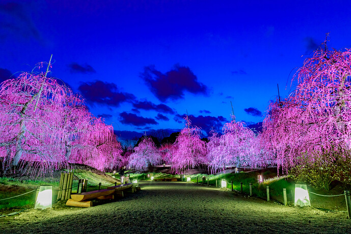 Suzuka Forest Garden