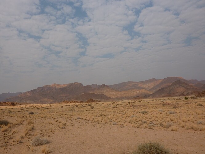 P1150445