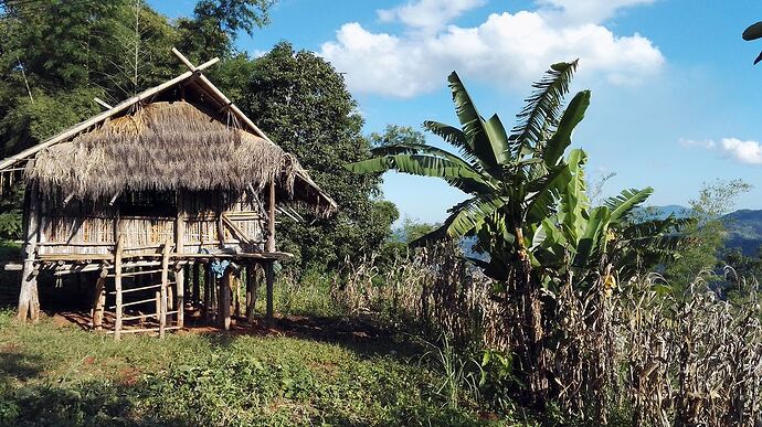 15 jours au Nord-Laos en nov 2015 - bernardlam