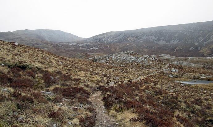 Ecosse 2013 2151