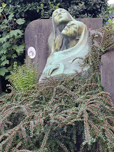 IMG_20250512_145622289_HDR