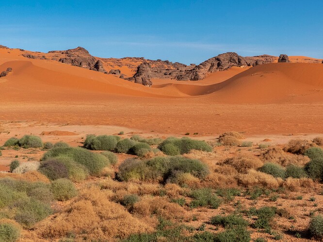 Îlot de verdure, Tin Merzouga