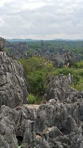 IMG-20251106-WA0014