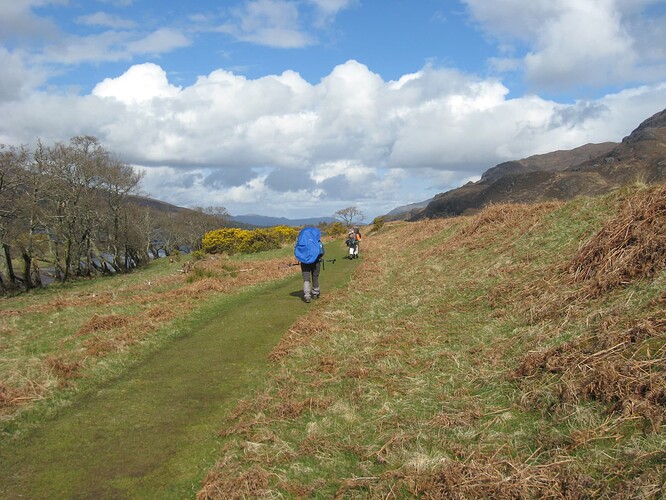 Ecosse (306)