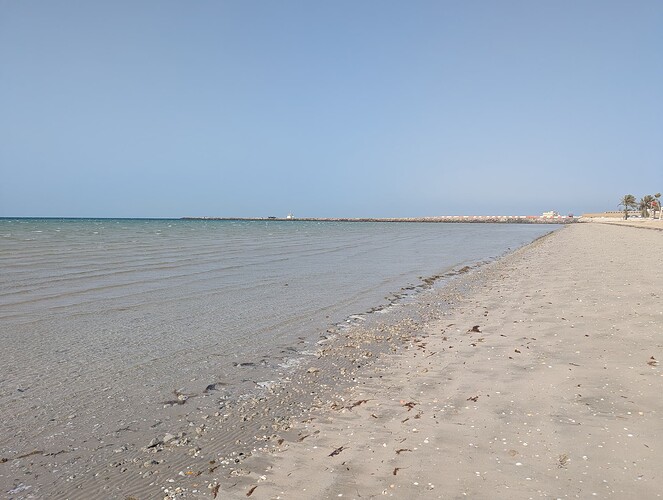 PXL_20250417_114024340_1