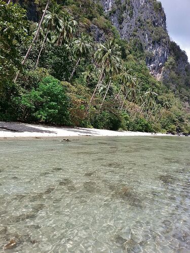 3 semaines de rêve aux Philippines  (3/3) - lolotte34