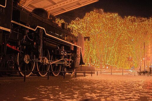 写真8_SENDAI光のページェント