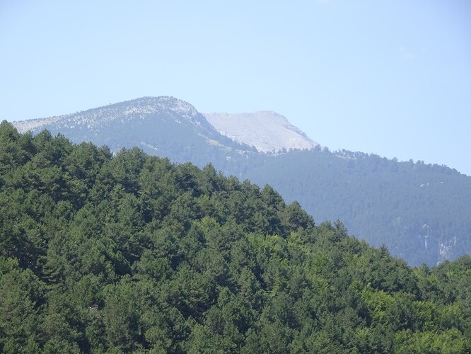DSC04205_1
