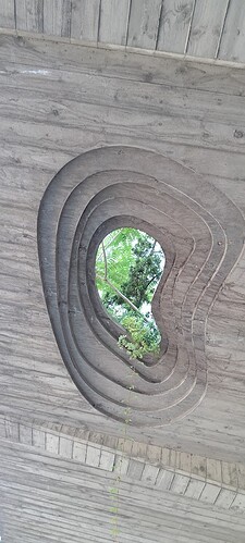 20250619_093123