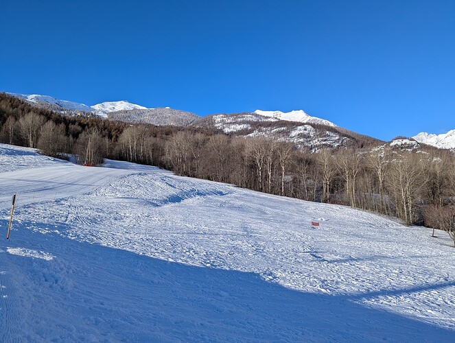 PXL_20250214_075922835_1