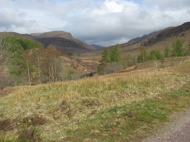 Ecosse (232)