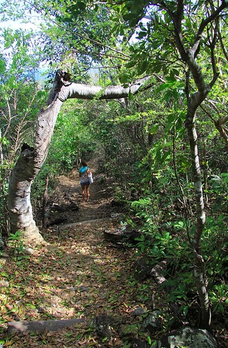 Sur le sentier ...