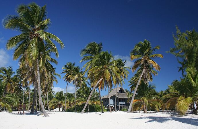 Dans les Caraïbes, d'îles en îles ... souvenirs. (troisième partie, de République Dominicaine à Key West ) - jem