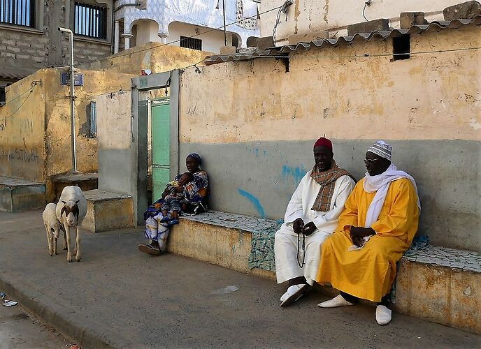 Visages et instantanés du Sénégal, Saint Louis et ses environs ... - fabienne65