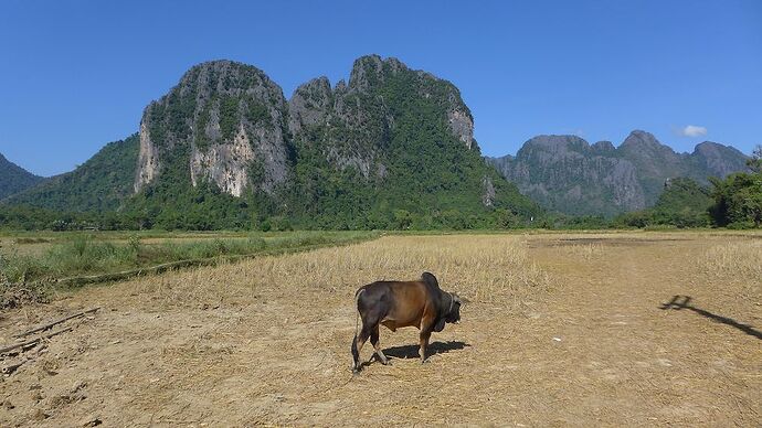 15 jours au Nord-Laos en nov 2015 - bernardlam