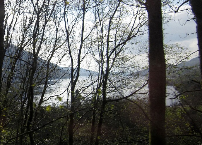 Découverte du loch Lomond
