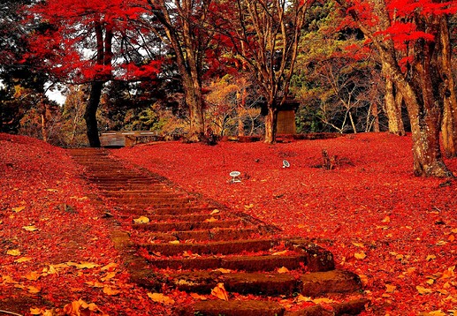 写真6_土津神社