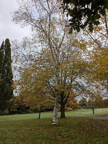 PXL_20241022_085905008_1