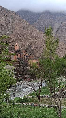IMG-20250323-WA0014
