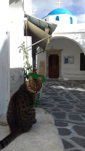 Retour de Paros/Santorin du 3 au 10 octobre 18 (avec photos) - francis31