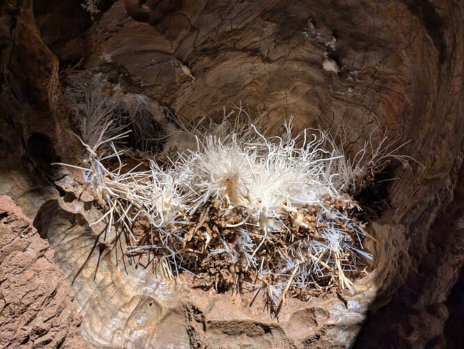 PXL_20250717_093623683