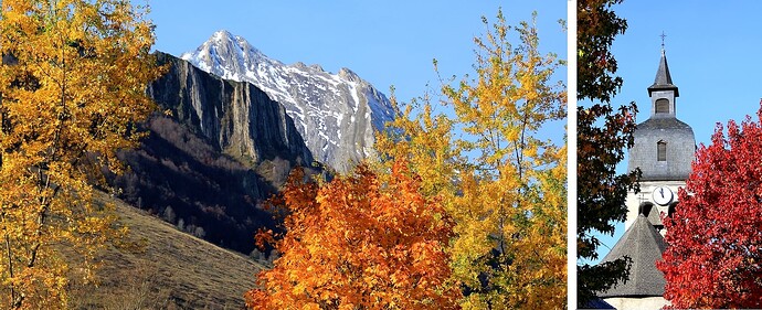 Marsous en automne