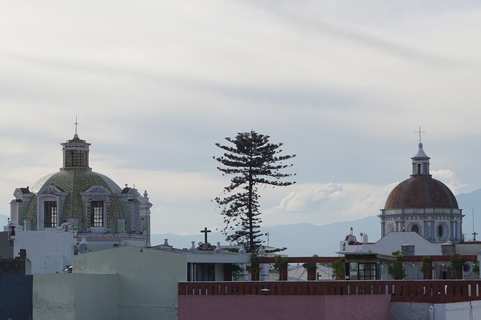 DSC01376