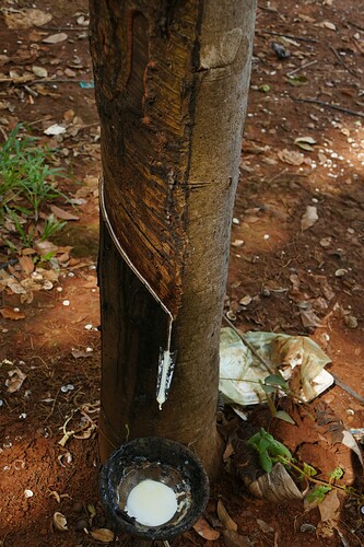 P1320525