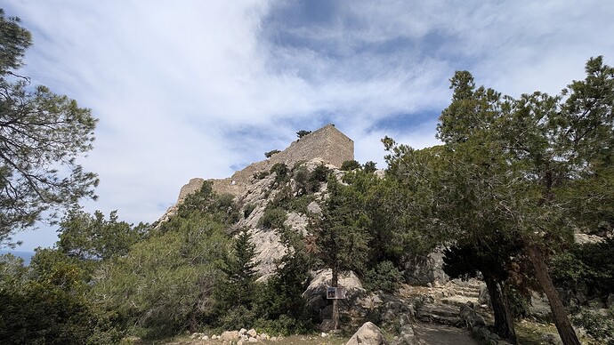 PXL_20250515_084501872