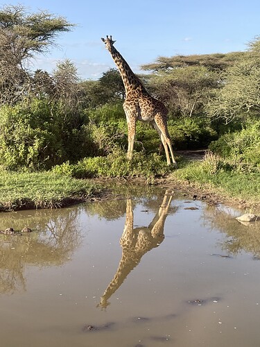 IMG_7538