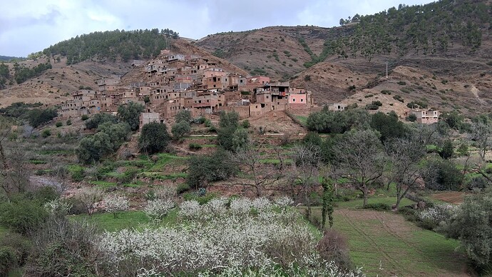 IMG-20250324-WA0017