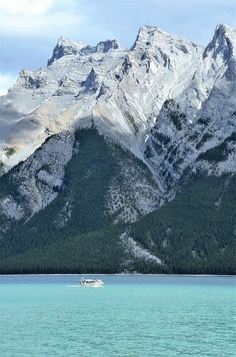 L'Ouest canadien à pleins poumons: épisode 1, les Rocheuses et la chaîne Alberta - fabienne65