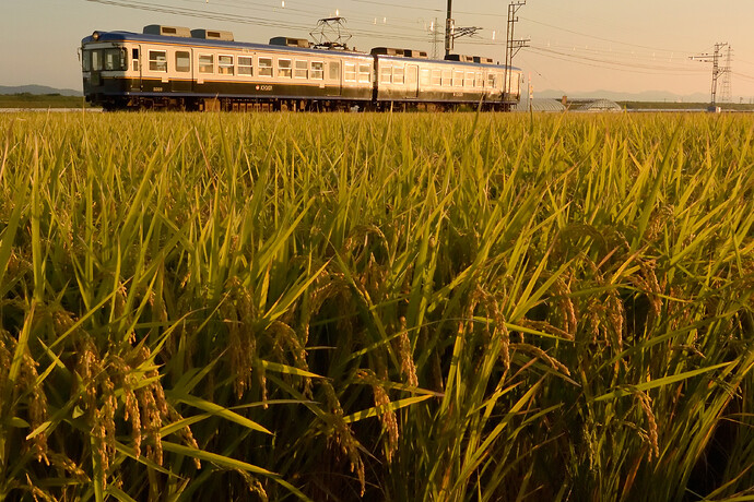 3657@ichibatarailway5000_04