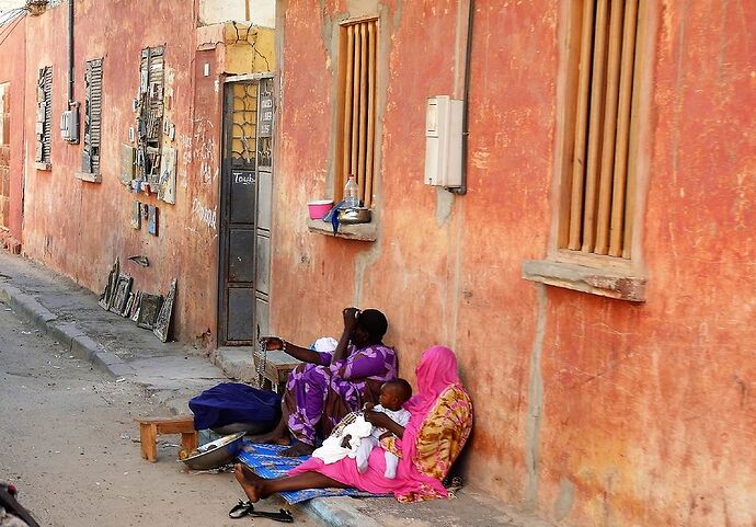 Visages et instantanés du Sénégal, Saint Louis et ses environs ... - fabienne65